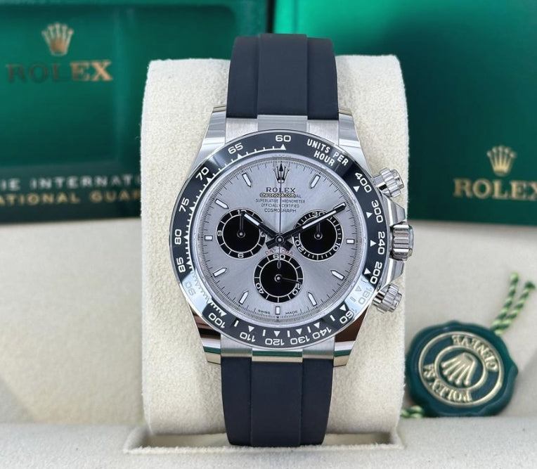 Daytona Oyster Flex Ghost