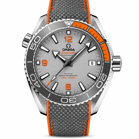 Planet Ocean Omega Grey Dial